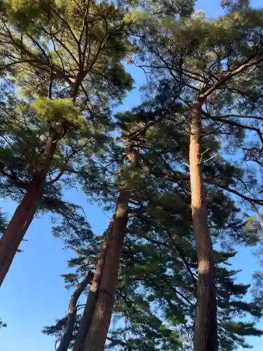南湖神社(福島県)