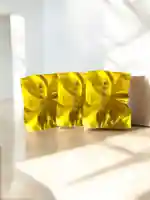 瀧宮神社(広島県)