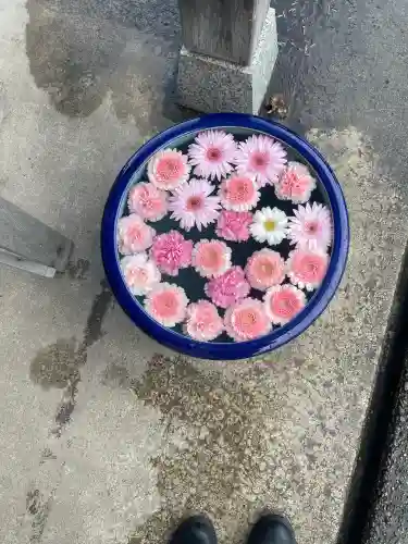 荘内神社の{uncategorized: "未分類", other: "その他", undefined: "問題あり", building: "その他建物", grave: "お墓", sacred_gate: "鳥居", guardian: "狛犬", statue: "像", buddha: "仏像", history: "歴史", nature: "自然", garden: "庭園", animal: "動物", pagoda: "塔", temizu: "手水舎", mountain_gate: "山門・神門", sanctuary: "本殿・本堂", subordinate: "末社・摂社", art: "芸術", scenery: "景色", jizo: "地蔵", ema: "絵馬", goshuin: "御朱印", omikuji: "おみくじ", items: "授与品その他", amulet: "お守り", goshuincho: "御朱印帳", eats: "食事", festival: "お祭り", votive_dance: "神楽", shichigosan: "七五三参", wedding: "結婚式", experience: "体験その他", initially: "初詣", around: "周辺", anti_infection: "感染症対策"}