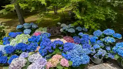 勝林寺(京都府)