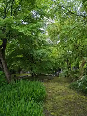 平等院(京都府)