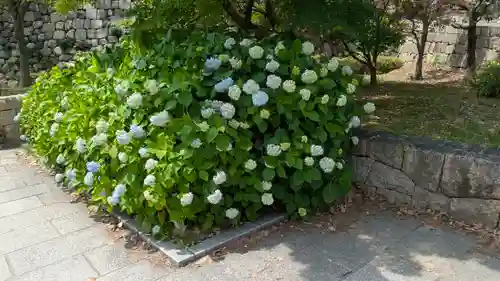 豊國神社(大阪府)
