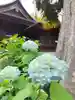 鹿嶋神社(東京都)