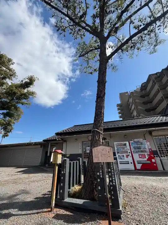 別小江神社(愛知県)