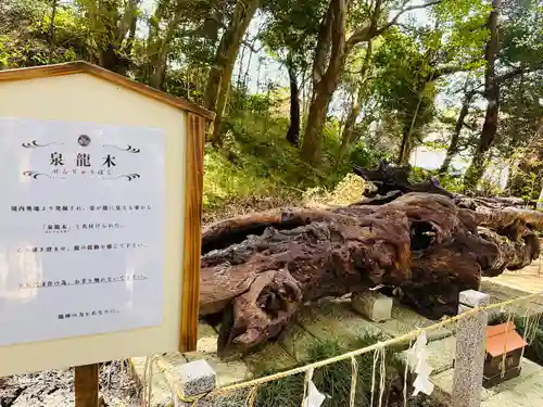 泉神社(茨城県)