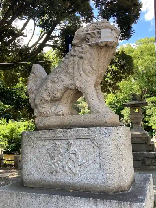 平塚八幡宮の狛犬