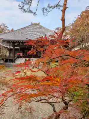 妙法寺(東京都)