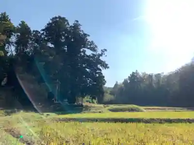 妙見神社の周辺