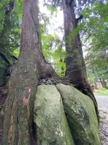 大神山神社奥宮(鳥取県)
