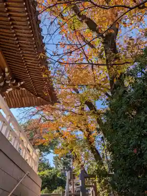 福蔵院(東京都)