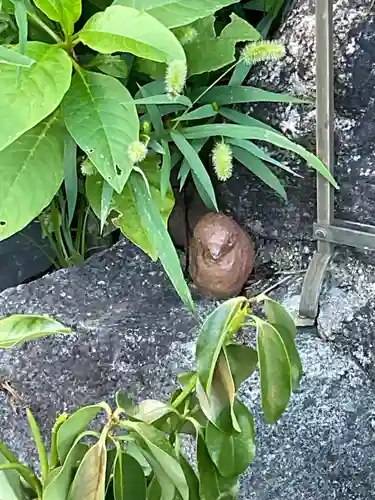 更雀寺(京都府)