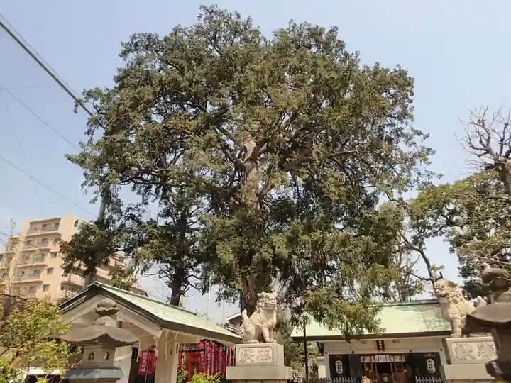 下神明天祖神社の自然