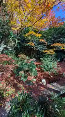 法金剛院(京都府)