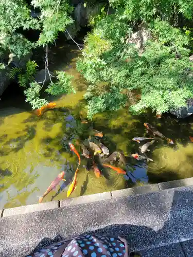 西新井大師総持寺(東京都)
