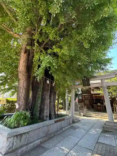 飛木稲荷神社(東京都)