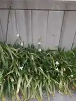 西方山極楽寺(岐阜県)