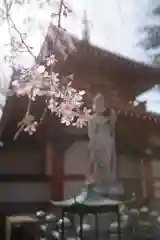 新井薬師（梅照院）の自然