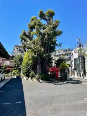 玉井稲荷神社の{uncategorized: "未分類", other: "その他", undefined: "問題あり", building: "その他建物", grave: "お墓", sacred_gate: "鳥居", guardian: "狛犬", statue: "像", buddha: "仏像", history: "歴史", nature: "自然", garden: "庭園", animal: "動物", pagoda: "塔", temizu: "手水舎", mountain_gate: "山門・神門", sanctuary: "本殿・本堂", subordinate: "末社・摂社", art: "芸術", scenery: "景色", jizo: "地蔵", ema: "絵馬", goshuin: "御朱印", omikuji: "おみくじ", items: "授与品その他", amulet: "お守り", goshuincho: "御朱印帳", eats: "食事", festival: "お祭り", votive_dance: "神楽", shichigosan: "七五三参", wedding: "結婚式", experience: "体験その他", initially: "初詣", around: "周辺", anti_infection: "感染症対策"}
