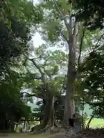 高房神社(茨城県)