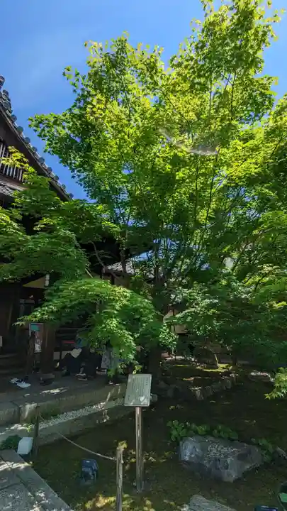 勝林寺(京都府)