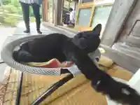 高司神社〜むすびの神の鎮まる社〜の動物