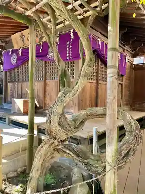 恵勝寺(千葉県)