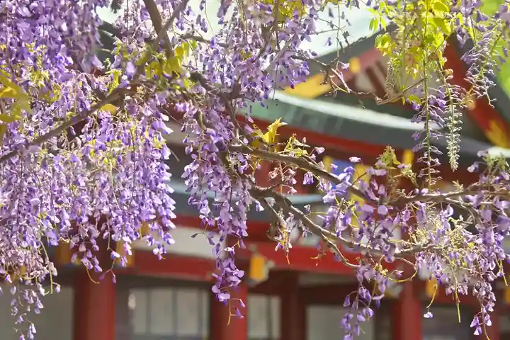 日枝神社(東京都)