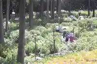 三室戸寺(京都府)