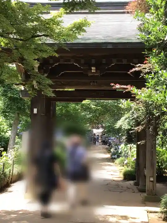 本土寺の山門・神門