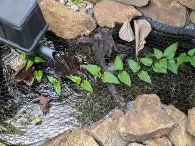 浄雲寺(東京都)