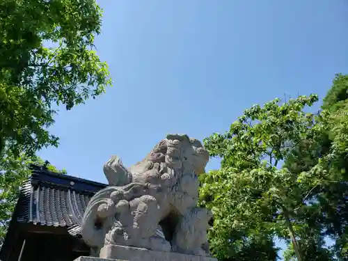 宮川神社の狛犬