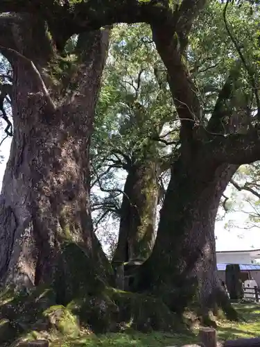 善導寺(福岡県)