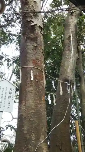 検見川神社の自然