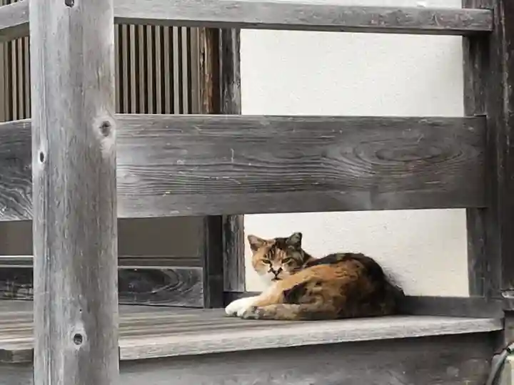 大久保山 自性院の動物