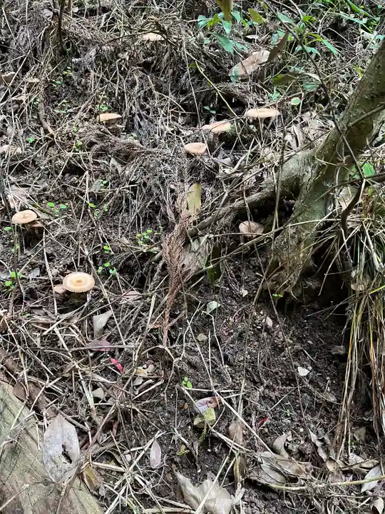 冨具神社の自然