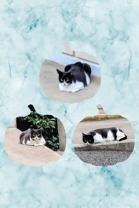 白金氷川神社の動物