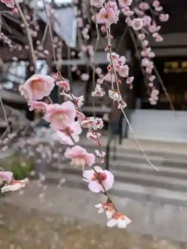 妙法寺(東京都)