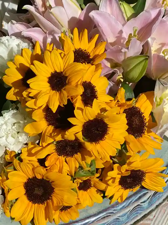 雪ケ谷八幡神社の手水舎