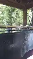 忍 諏訪神社・東照宮 の手水舎