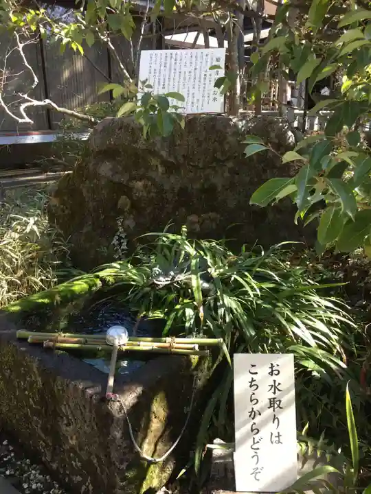 武田神社の手水舎