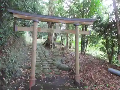 堂山神社(東京都)