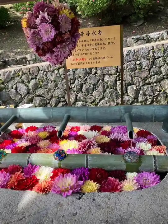 岡寺(龍蓋寺)(奈良県)