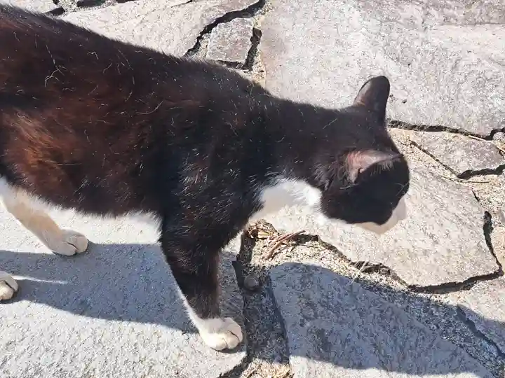 富貴寺(大分県)