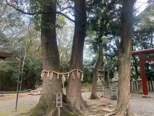 男神社の{uncategorized: "未分類", other: "その他", undefined: "問題あり", building: "その他建物", grave: "お墓", sacred_gate: "鳥居", guardian: "狛犬", statue: "像", buddha: "仏像", history: "歴史", nature: "自然", garden: "庭園", animal: "動物", pagoda: "塔", temizu: "手水舎", mountain_gate: "山門・神門", sanctuary: "本殿・本堂", subordinate: "末社・摂社", art: "芸術", scenery: "景色", jizo: "地蔵", ema: "絵馬", goshuin: "御朱印", omikuji: "おみくじ", items: "授与品その他", amulet: "お守り", goshuincho: "御朱印帳", eats: "食事", festival: "お祭り", votive_dance: "神楽", shichigosan: "七五三参", wedding: "結婚式", experience: "体験その他", initially: "初詣", around: "周辺", anti_infection: "感染症対策"}