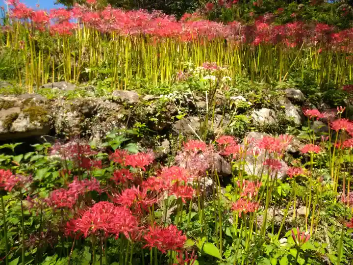 仏隆寺(奈良県)