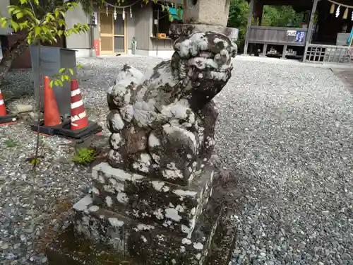 鳴無神社の狛犬