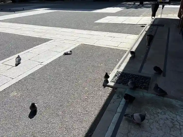 開口神社(大阪府)