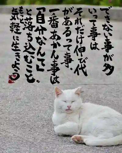 専念寺(大阪府)