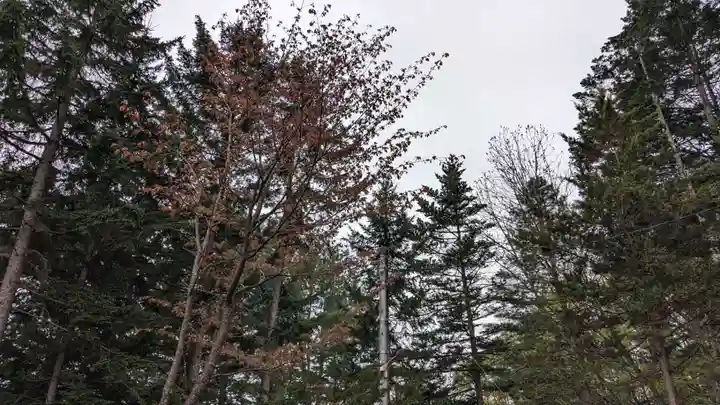 札内神社の自然