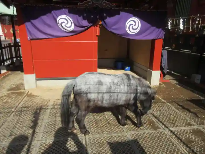 神田神社(神田明神)の動物